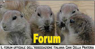 Forum cane della prateria